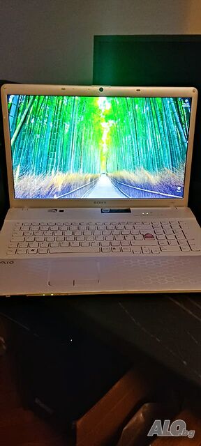 Надежден 17.3” Sony VAIO | 8GB RAM | Бърз SSD + HDD | Win 10 | Подарък мишка