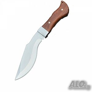 image_4