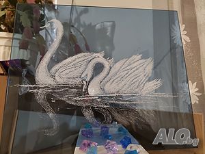 image_4
