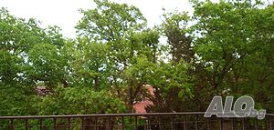 image_6