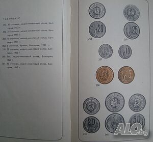 image_6