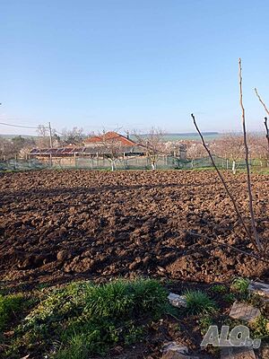 image_6