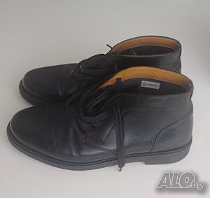 image_3