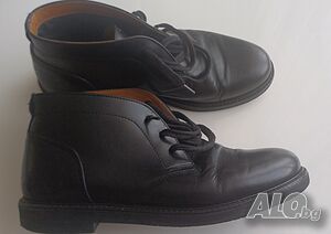 image_5