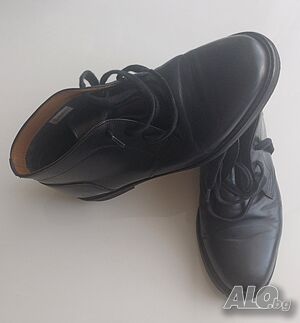 image_6