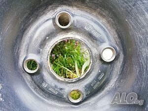 image_3