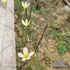 image_14