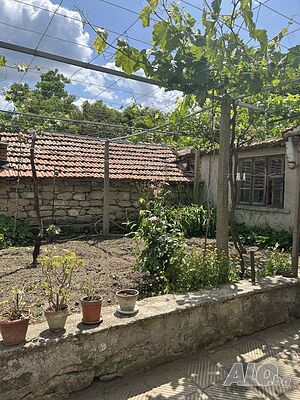 image_11