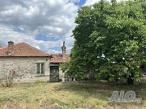image_12