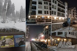 Апартамент за гости” Grey home”
