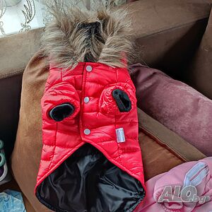 image_4