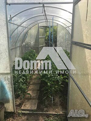 image_9