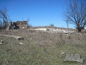 image_3