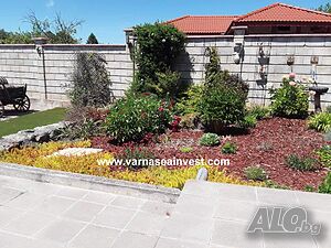 image_6