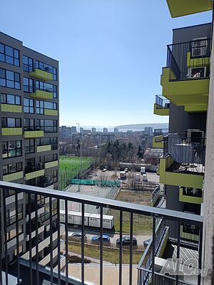 image_11
