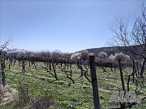 image_6