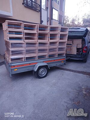 image_10