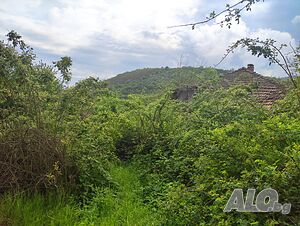 image_3