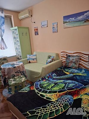 image_8