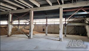 image_3