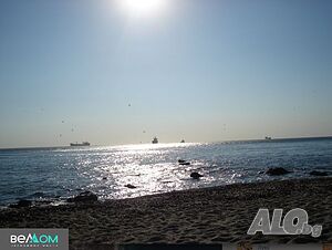 image_3