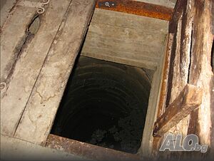 image_6
