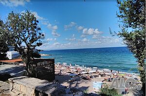 image_15