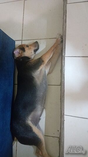 image_2
