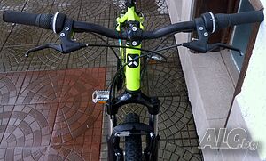 image_8