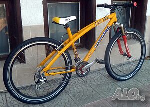 image_11