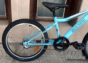 image_10