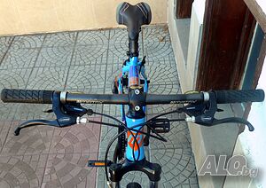 image_8