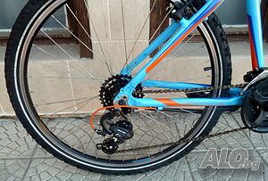 image_11