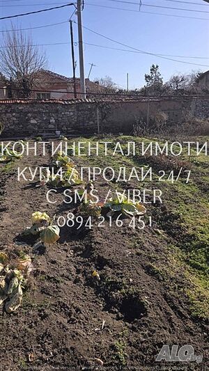 image_11