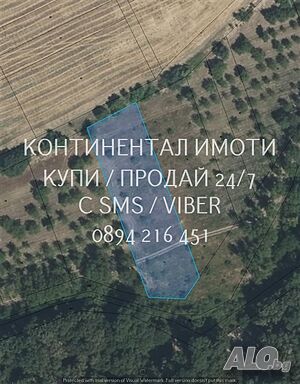 Стара градина 3200м2 орехи градина на около 40 г. на 200м от шосе
