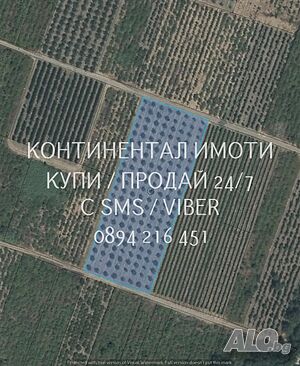 Черешова градина 7 дка в силата си със статут на нива с правоъгълна форма и лице по 50м