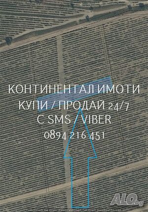 Лозе 1500м2, лесен достъп от винения комплекс Загрей