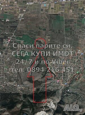 image_6