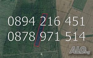 Овощна градина 3500м2 запусната срещу Митницата, земл. с. Браниполе