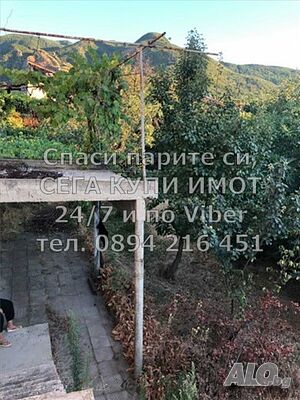 image_10