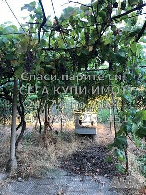 image_12