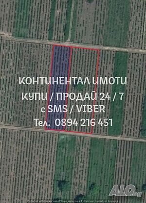 Лозе 4600м2 до канал за поливане, лесен достъп с. Брестовица