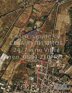 image_7