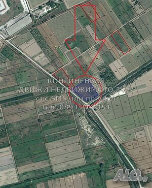 image_5