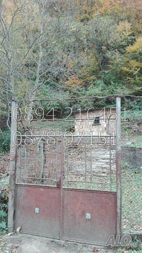 image_7