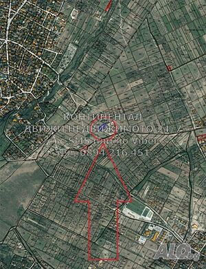 image_5