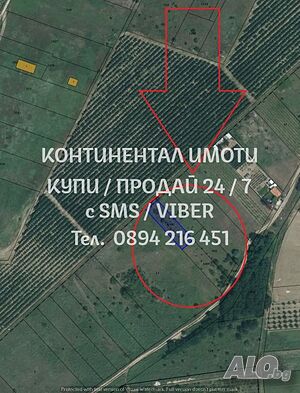 image_3