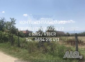 image_7
