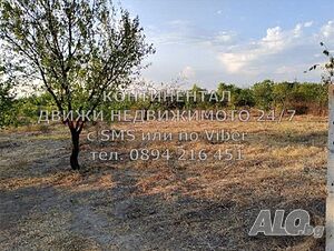 image_3