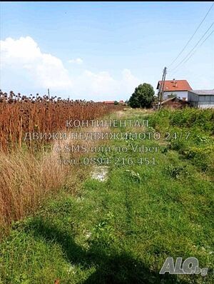 image_6